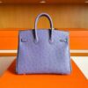 2025-11-11_100048_276-1024x768-1 H Factory Bags Birkin Ostrich Leather 9W New Lavender Purple Gold Hardware 25cm Full Handmade