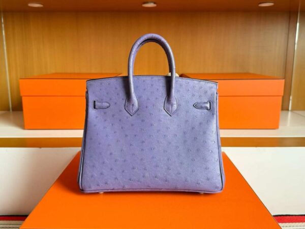 2025-11-11_100048_276-1024x768-1 H Factory Bags Birkin Ostrich Leather 9W New Lavender Purple Gold Hardware 25cm Full Handmade