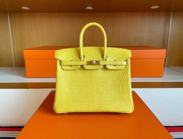 2025-11-13_165026_764-1024x777-1 H Factory Bags Birkin Matte Porosus Crocodile M9 Calendula Yellow Gold Hardware 25cm Full Handmade