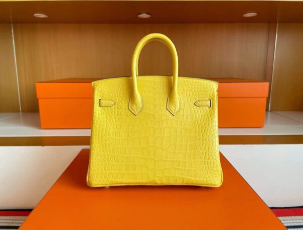 2025-11-13_165028_723-1024x776-1 H Factory Bags Birkin Matte Porosus Crocodile M9 Calendula Yellow Gold Hardware 25cm Full Handmade