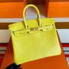 2025-11-13_165030_810-1024x768-1 H Factory Bags Birkin Matte Porosus Crocodile M9 Calendula Yellow Gold Hardware 25cm Full Handmade