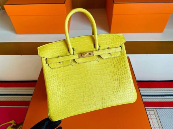 2025-11-13_165030_810-1024x768-1 H Factory Bags Birkin Matte Porosus Crocodile M9 Calendula Yellow Gold Hardware 25cm Full Handmade