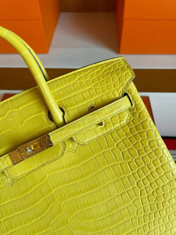 2025-11-13_165032_570-768x1024-1 H Factory Bags Birkin Matte Porosus Crocodile M9 Calendula Yellow Gold Hardware 25cm Full Handmade