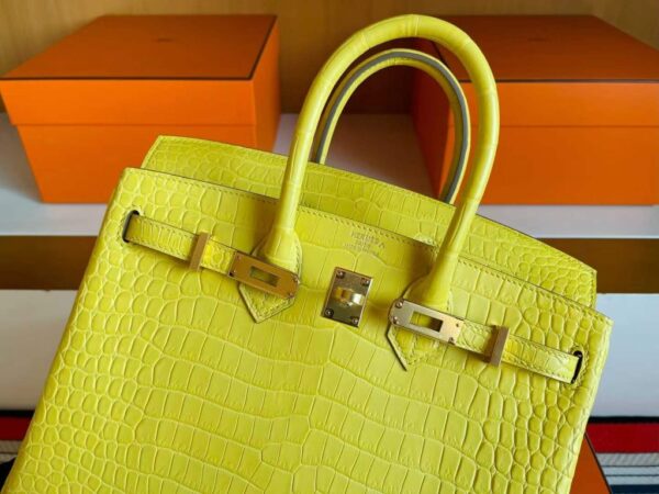 2025-11-13_165034_330-1024x768-1 H Factory Bags Birkin Matte Porosus Crocodile M9 Calendula Yellow Gold Hardware 25cm Full Handmade