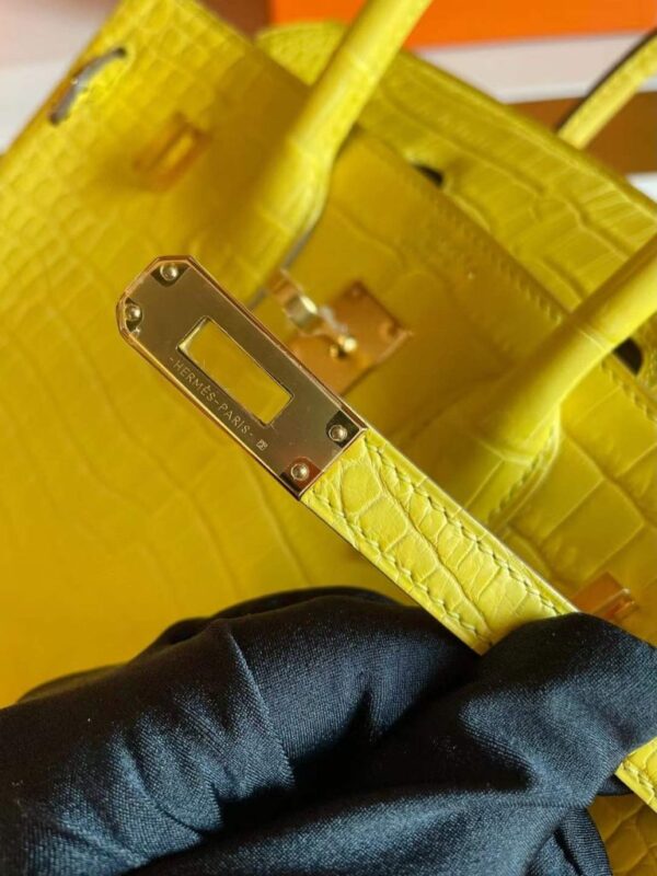 2025-11-13_165039_778-768x1024-1 H Factory Bags Birkin Matte Porosus Crocodile M9 Calendula Yellow Gold Hardware 25cm Full Handmade