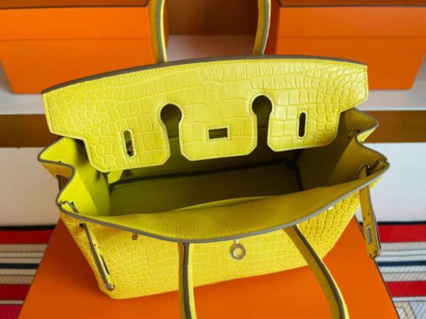 2025-11-13_165041_611-1024x768-1 H Factory Bags Birkin Matte Porosus Crocodile M9 Calendula Yellow Gold Hardware 25cm Full Handmade