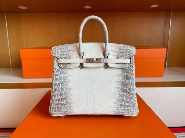 2025-11-13_165101_482-1024x764-1 H Factory Bags Birkin Matte Porosus Crocodile Himalaya Silver Hardware 25cm Full Handmade