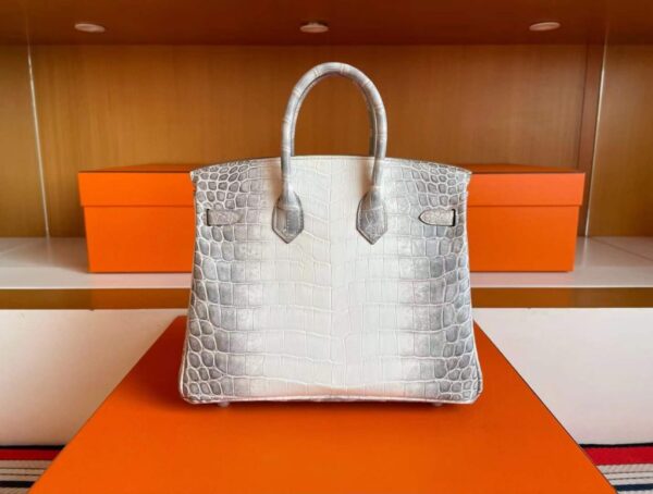 2025-11-13_165103_819-1024x774-1 H Factory Bags Birkin Matte Porosus Crocodile Himalaya Silver Hardware 25cm Full Handmade