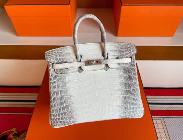 2025-11-13_165105_498-1024x782-1 H Factory Bags Birkin Matte Porosus Crocodile Himalaya Silver Hardware 25cm Full Handmade