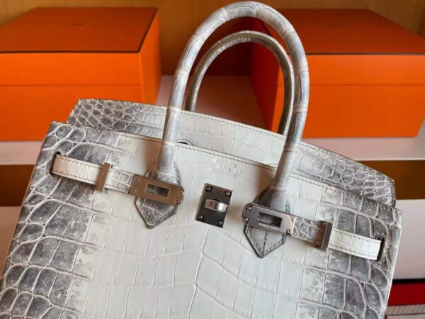 2025-11-13_165108_955-1024x768-1 H Factory Bags Birkin Matte Porosus Crocodile Himalaya Silver Hardware 25cm Full Handmade