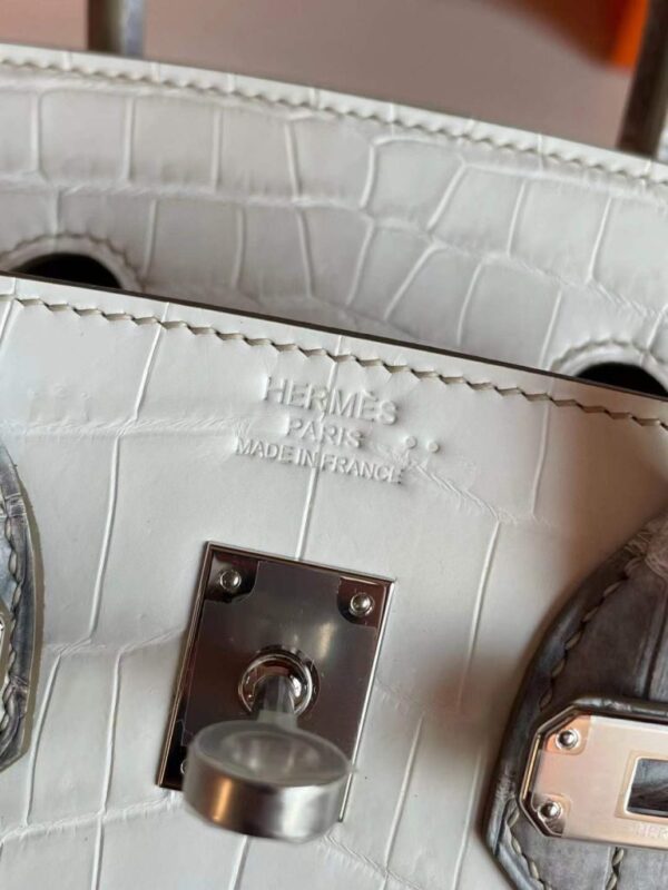 2025-11-13_165110_890-768x1024-1 H Factory Bags Birkin Matte Porosus Crocodile Himalaya Silver Hardware 25cm Full Handmade