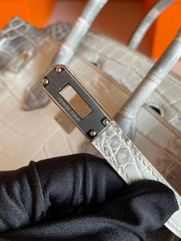 2025-11-13_165112_707-768x1024-1 H Factory Bags Birkin Matte Porosus Crocodile Himalaya Silver Hardware 25cm Full Handmade