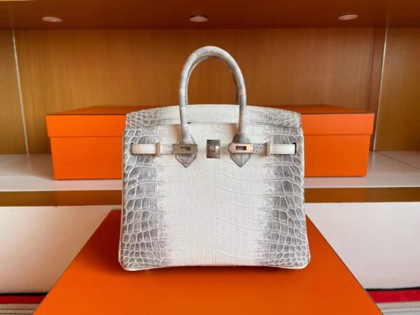 2025-11-13_165114_843-1024x768-1 H Factory Bags Birkin Matte Porosus Crocodile Himalaya Silver Hardware 25cm Full Handmade