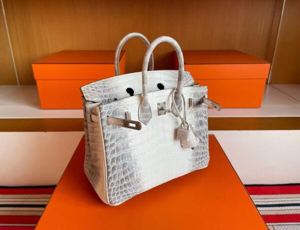2025-11-13_165116_858-1024x785-1 H Factory Bags Birkin Matte Porosus Crocodile Himalaya Silver Hardware 25cm Full Handmade