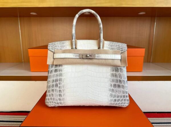 H Factory Bags Birkin Matte Niloticus Crocodile Himalaya Silver Hardware 30cm Full Handmade