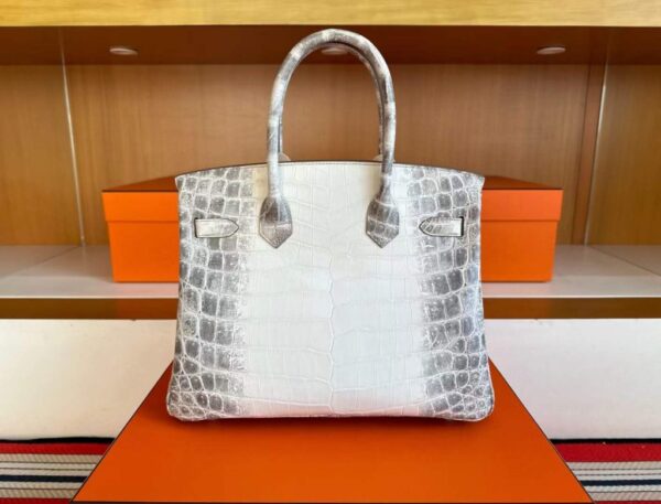 H Factory Bags Birkin Matte Niloticus Crocodile Himalaya Silver Hardware 30cm Full Handmade