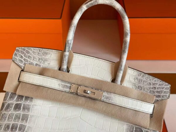 H Factory Bags Birkin Matte Niloticus Crocodile Himalaya Silver Hardware 30cm Full Handmade