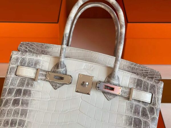H Factory Bags Birkin Matte Niloticus Crocodile Himalaya Silver Hardware 30cm Full Handmade