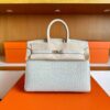 H Factory Bags Birkin Matte Alligator Crocodile Ice White Silver Hardware 25cm Full Handmade