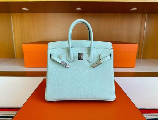 H Factory Bags Birkin Chever Leather N3 Mint Green Silver Hardware 25cm Full Handmade