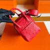 H Factory Bags Mini Lindy Ostrich Leather Shiny Red Gold Hardware 19cm Full Handmade