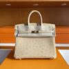 H Factory Bags Birkin Ostrich Leather Yellowish White Gold Hardware 25cm Full Handmade