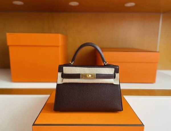 mmexport1755853678287-1024x781-1 H Factory Bags Mini Kelly Chever Leather Brownish Red Gold Hardware 19cm Full Handmade