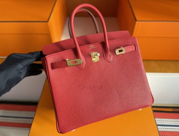 mmexport1760686566961-1-1024x779-1 H Factory Bags Birkin Togo Leather Watermelon Red Rose Gold Hardware 25cm Full Handmade Rghw