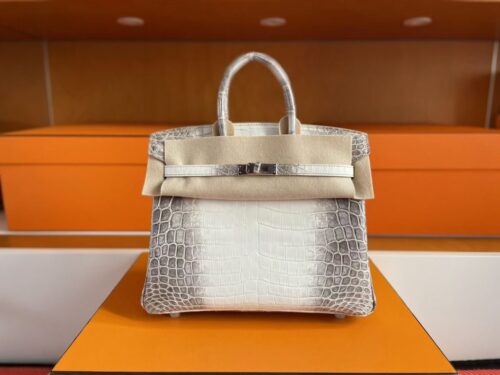 mmexport1760687008181-1024x768-1 H Factory Bags Birkin Matte Crocodile Leather Himalaya Silver Hardware 25cm Full Handmade Phw