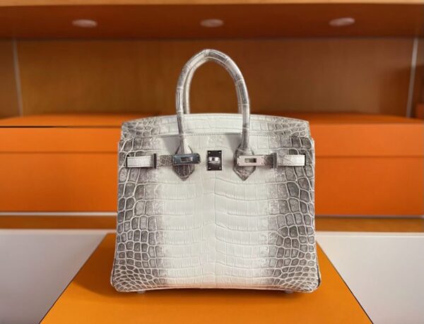 H Factory Bags Birkin Matte Crocodile Leather Himalaya Silver Hardware 25cm Full Handmade Phw