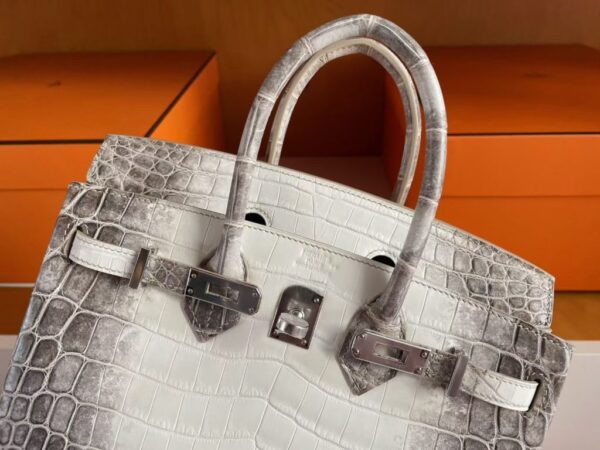H Factory Bags Birkin Matte Crocodile Leather Himalaya Silver Hardware 25cm Full Handmade Phw